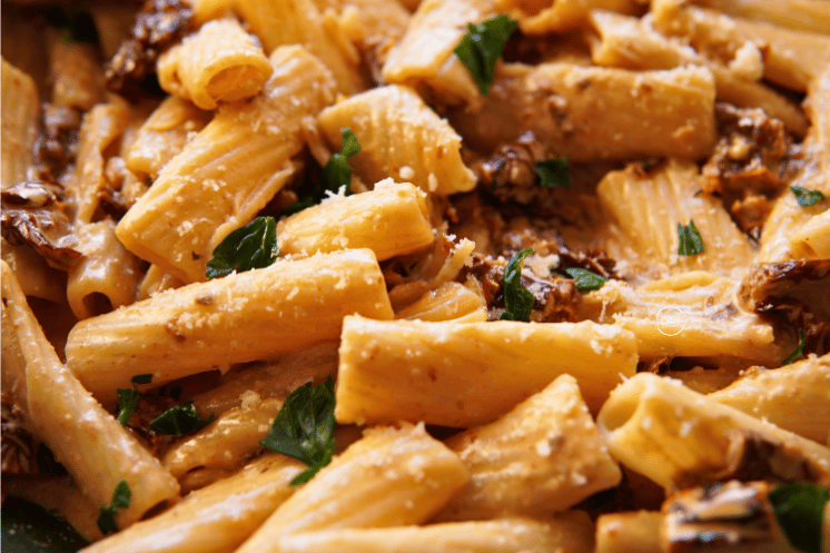 Kremasta pasta sa paradajzom u tanjiru iz bliza, Creamy sun dried tomato pasta in a plate close up